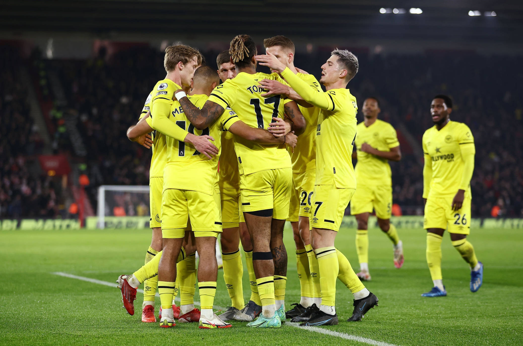 充满观赏性 充满观赏性